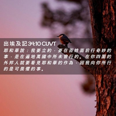 Picture 02 - 出 埃 及 記 34:10 CUVT - 耶 和 華 說 ： 我 要 立 約 ， 要 在 - Bible Verse Picture