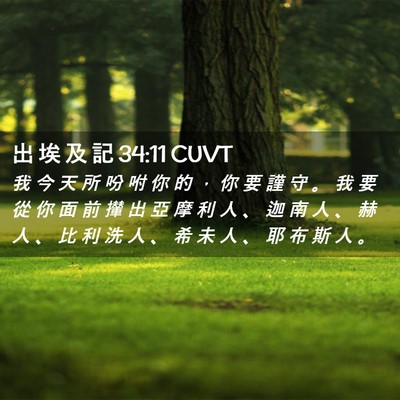 Picture 02 - 出 埃 及 記 34:11 CUVT - 我 今 天 所 吩 咐 你 的 ， 你 要 謹 - Bible Verse Picture