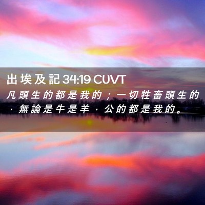 Picture 02 - 出 埃 及 記 34:19 CUVT - 凡 頭 生 的 都 是 我 的 ； 一 切 牲 - Bible Verse Picture