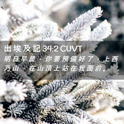 Picture 02 - 出 埃 及 記 34:2 CUVT - 明 日 早 晨 ， 你 要 預 備 好 了 ， - Bible Verse Picture