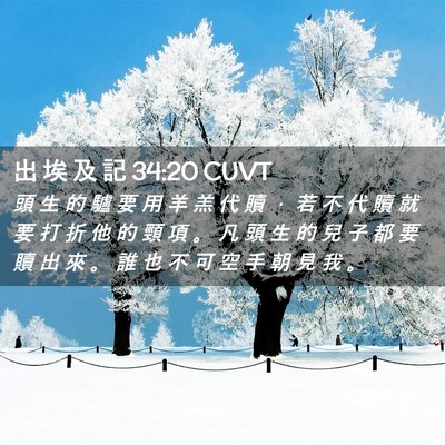 Picture 02 - 出 埃 及 記 34:20 CUVT - 頭 生 的 驢 要 用 羊 羔 代 贖 ， 若 - Bible Verse Picture