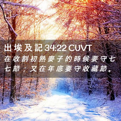 Picture 02 - 出 埃 及 記 34:22 CUVT - 在 收 割 初 熟 麥 子 的 時 候 要 守 - Bible Verse Picture