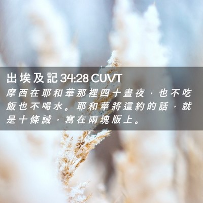 Picture 02 - 出 埃 及 記 34:28 CUVT - 摩 西 在 耶 和 華 那 裡 四 十 晝 夜 - Bible Verse Picture
