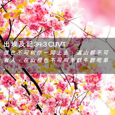 Picture 02 - 出 埃 及 記 34:3 CUVT - 誰 也 不 可 和 你 一 同 上 去 ， 遍 - Bible Verse Picture