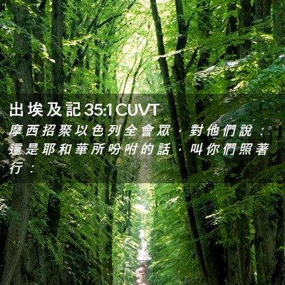 Picture 02 - 出 埃 及 記 35:1 CUVT - 摩 西 招 聚 以 色 列 全 會 眾 ， 對 - Bible Verse Picture