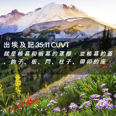 Picture 02 - 出 埃 及 記 35:11 CUVT - 就 是 帳 幕 和 帳 幕 的 罩 棚 ， 並 - Bible Verse Picture