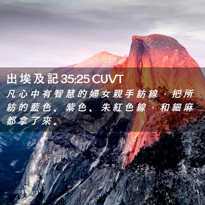 Picture 02 - 出 埃 及 記 35:25 CUVT - 凡 心 中 有 智 慧 的 婦 女 親 手 紡 - Bible Verse Picture