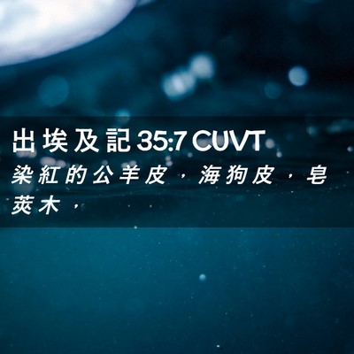 Picture 02 - 出 埃 及 記 35:7 CUVT - 染 紅 的 公 羊 皮 ， 海 狗 皮 ， 皂 - Bible Verse Picture