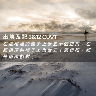 Picture 02 - 出 埃 及 記 36:12 CUVT - 在 這 相 連 的 幔 子 上 做 五 十 個 - Bible Verse Picture