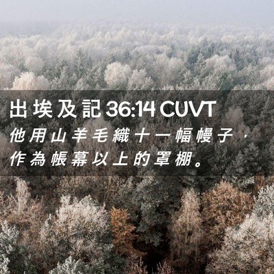 Picture 02 - 出 埃 及 記 36:14 CUVT - 他 用 山 羊 毛 織 十 一 幅 幔 子 ， - Bible Verse Picture