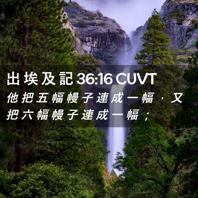 Picture 02 - 出 埃 及 記 36:16 CUVT - 他 把 五 幅 幔 子 連 成 一 幅 ， 又 - Bible Verse Picture