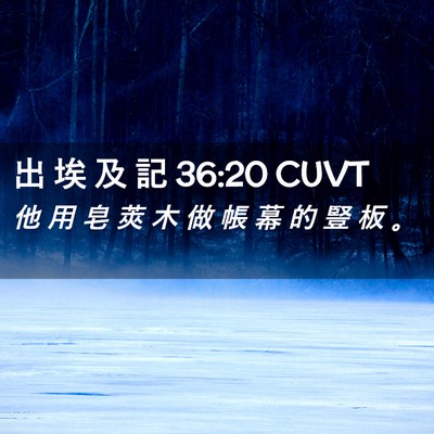 Picture 02 - 出 埃 及 記 36:20 CUVT - 他 用 皂 莢 木 做 帳 幕 的 豎 板 - Bible Verse Picture