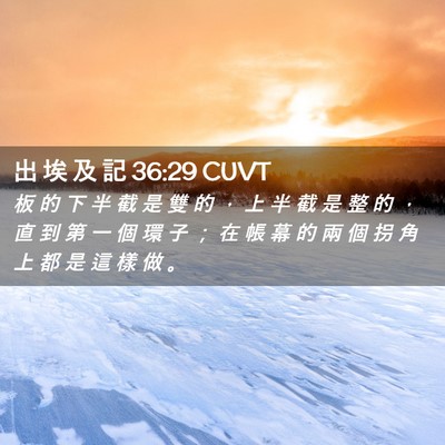Picture 02 - 出 埃 及 記 36:29 CUVT - 板 的 下 半 截 是 雙 的 ， 上 半 截 - Bible Verse Picture