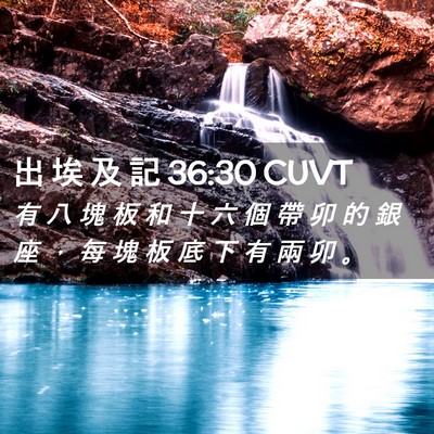 Picture 02 - 出 埃 及 記 36:30 CUVT - 有 八 塊 板 和 十 六 個 帶 卯 的 銀 - Bible Verse Picture