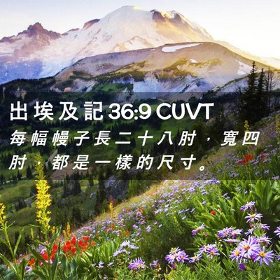 Picture 02 - 出 埃 及 記 36:9 CUVT - 每 幅 幔 子 長 二 十 八 肘 ， 寬 四 - Bible Verse Picture