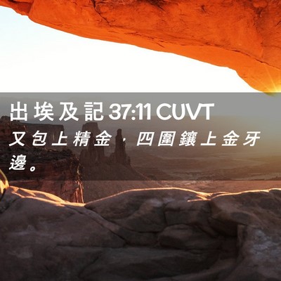 Picture 02 - 出 埃 及 記 37:11 CUVT - 又 包 上 精 金 ， 四 圍 鑲 上 金 牙 - Bible Verse Picture