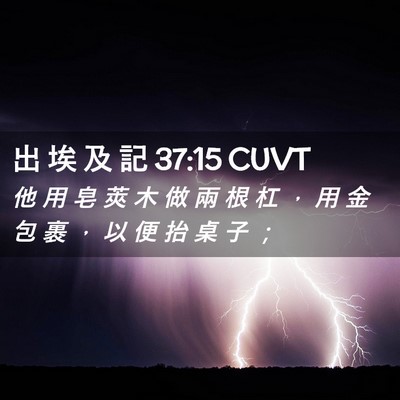 Picture 02 - 出 埃 及 記 37:15 CUVT - 他 用 皂 莢 木 做 兩 根 杠 ， 用 金 - Bible Verse Picture