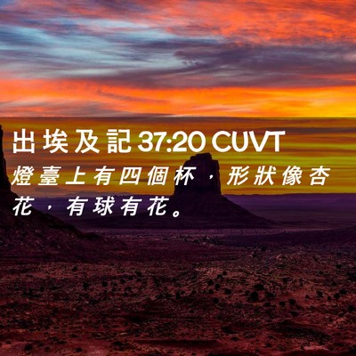 Picture 02 - 出 埃 及 記 37:20 CUVT - 燈 臺 上 有 四 個 杯 ， 形 狀 像 杏 - Bible Verse Picture