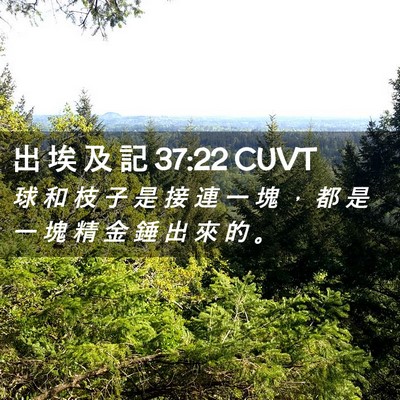 Picture 02 - 出 埃 及 記 37:22 CUVT - 球 和 枝 子 是 接 連 一 塊 ， 都 是 - Bible Verse Picture