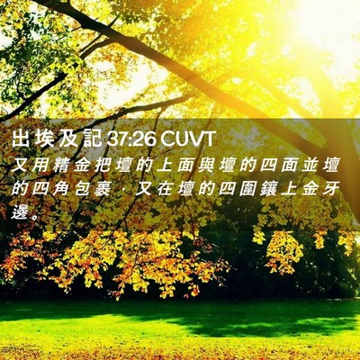 Picture 02 - 出 埃 及 記 37:26 CUVT - 又 用 精 金 把 壇 的 上 面 與 壇 的 - Bible Verse Picture
