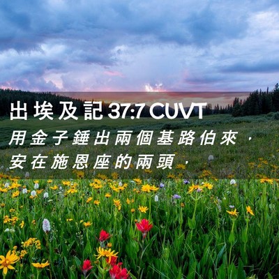Picture 02 - 出 埃 及 記 37:7 CUVT - 用 金 子 錘 出 兩 個 基 路 伯 來 ， - Bible Verse Picture