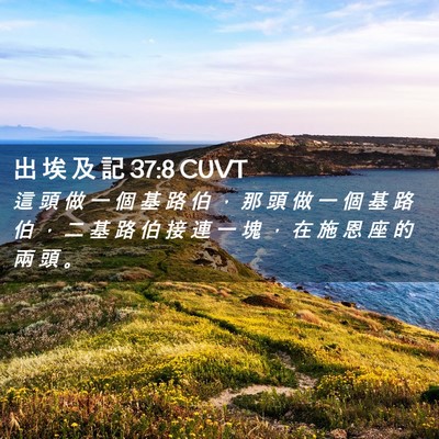 Picture 02 - 出 埃 及 記 37:8 CUVT - 這 頭 做 一 個 基 路 伯 ， 那 頭 做 - Bible Verse Picture
