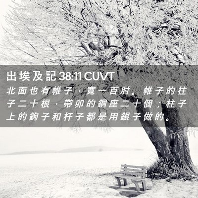 Picture 02 - 出 埃 及 記 38:11 CUVT - 北 面 也 有 帷 子 ， 寬 一 百 肘 。 - Bible Verse Picture