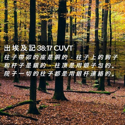 Picture 02 - 出 埃 及 記 38:17 CUVT - 柱 子 帶 卯 的 座 是 銅 的 ， 柱 子 - Bible Verse Picture