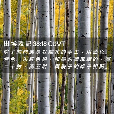 Picture 02 - 出 埃 及 記 38:18 CUVT - 院 子 的 門 簾 是 以 繡 花 的 手 工 - Bible Verse Picture