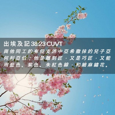 Picture 02 - 出 埃 及 記 38:23 CUVT - 與 他 同 工 的 有 但 支 派 中 亞 希 - Bible Verse Picture