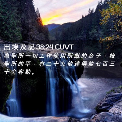Picture 02 - 出 埃 及 記 38:24 CUVT - 為 聖 所 一 切 工 作 使 用 所 獻 的 - Bible Verse Picture