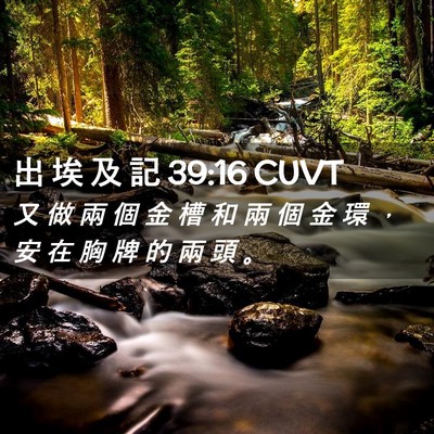 Picture 02 - 出 埃 及 記 39:16 CUVT - 又 做 兩 個 金 槽 和 兩 個 金 環 ， - Bible Verse Picture