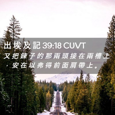 Picture 02 - 出 埃 及 記 39:18 CUVT - 又 把 鍊 子 的 那 兩 頭 接 在 兩 槽 - Bible Verse Picture