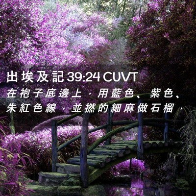 Picture 02 - 出 埃 及 記 39:24 CUVT - 在 袍 子 底 邊 上 ， 用 藍 色 、 紫 - Bible Verse Picture
