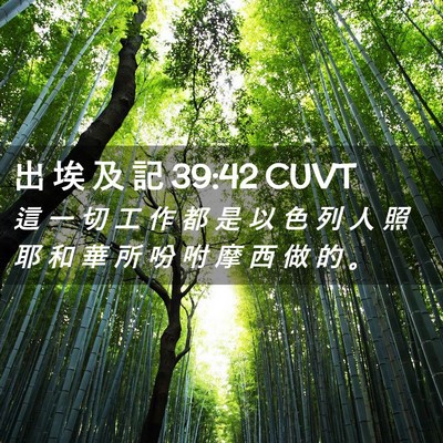 Picture 02 - 出 埃 及 記 39:42 CUVT - 這 一 切 工 作 都 是 以 色 列 人 照 - Bible Verse Picture