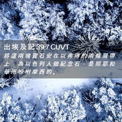 Picture 02 - 出 埃 及 記 39:7 CUVT - 將 這 兩 塊 寶 石 安 在 以 弗 得 的 - Bible Verse Picture
