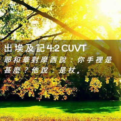 Picture 02 - 出 埃 及 記 4:2 CUVT - 耶 和 華 對 摩 西 說 ： 你 手 裡 是 - Bible Verse Picture