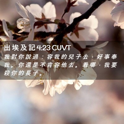 Picture 02 - 出 埃 及 記 4:23 CUVT - 我 對 你 說 過 ： 容 我 的 兒 子 去 - Bible Verse Picture