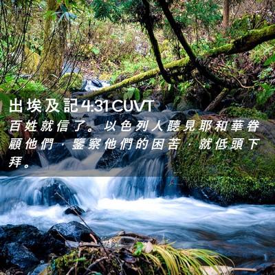 Picture 02 - 出 埃 及 記 4:31 CUVT - 百 姓 就 信 了 。 以 色 列 人 聽 見 - Bible Verse Picture