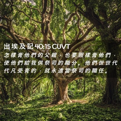 Picture 02 - 出 埃 及 記 40:15 CUVT - 怎 樣 膏 他 們 的 父 親 ， 也 要 照 - Bible Verse Picture