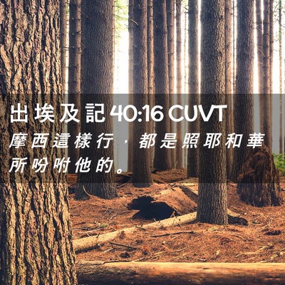 Picture 02 - 出 埃 及 記 40:16 CUVT - 摩 西 這 樣 行 ， 都 是 照 耶 和 華 - Bible Verse Picture