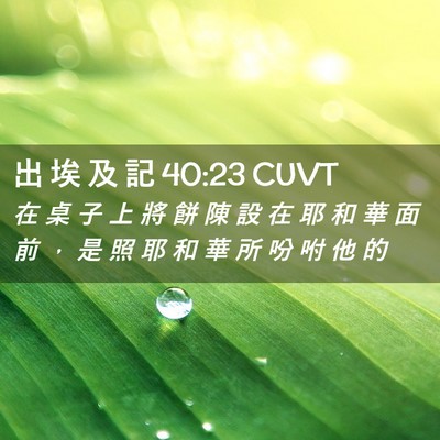 Picture 02 - 出 埃 及 記 40:23 CUVT - 在 桌 子 上 將 餅 陳 設 在 耶 和 華 - Bible Verse Picture