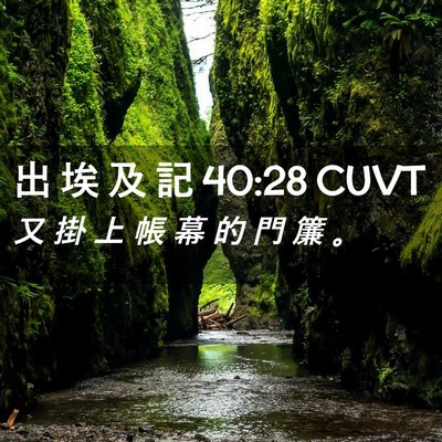 Picture 02 - 出 埃 及 記 40:28 CUVT - 又 掛 上 帳 幕 的 門 簾 - Bible Verse Picture