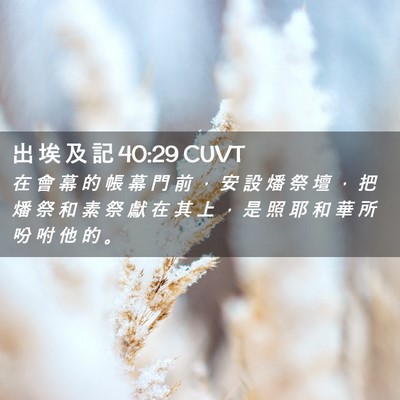 Picture 02 - 出 埃 及 記 40:29 CUVT - 在 會 幕 的 帳 幕 門 前 ， 安 設 燔 - Bible Verse Picture