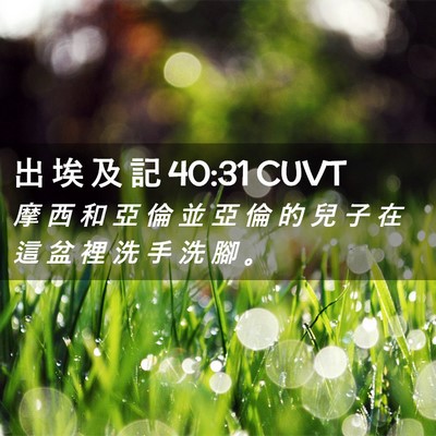 Picture 02 - 出 埃 及 記 40:31 CUVT - 摩 西 和 亞 倫 並 亞 倫 的 兒 子 在 - Bible Verse Picture
