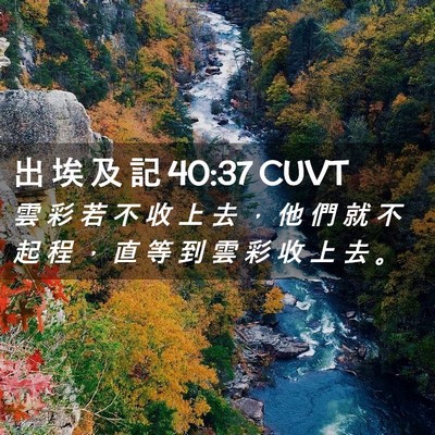 Picture 02 - 出 埃 及 記 40:37 CUVT - 雲 彩 若 不 收 上 去 ， 他 們 就 不 - Bible Verse Picture