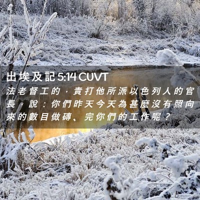 Picture 02 - 出 埃 及 記 5:14 CUVT - 法 老 督 工 的 ， 責 打 他 所 派 以 - Bible Verse Picture