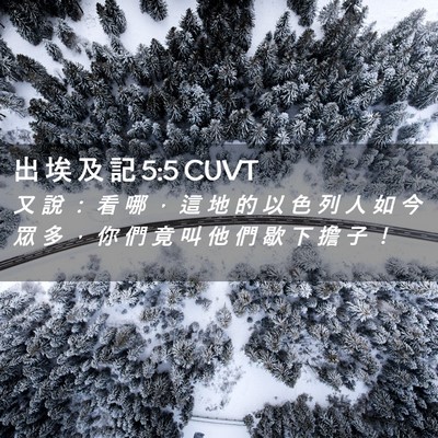Picture 02 - 出 埃 及 記 5:5 CUVT - 又 說 ： 看 哪 ， 這 地 的 以 色 列 - Bible Verse Picture