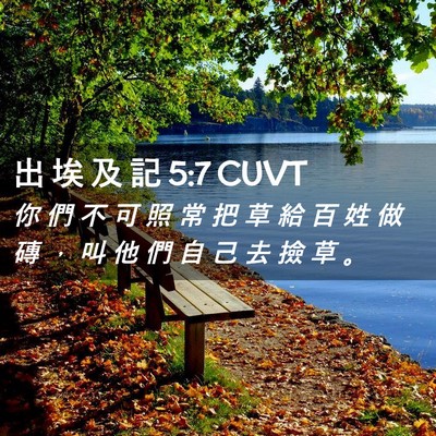 Picture 02 - 出 埃 及 記 5:7 CUVT - 你 們 不 可 照 常 把 草 給 百 姓 做 - Bible Verse Picture