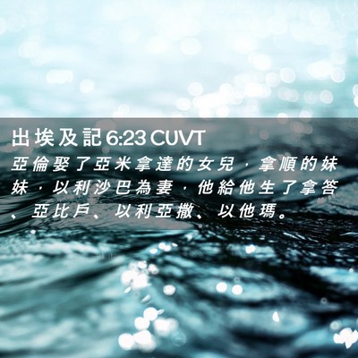 Picture 02 - 出 埃 及 記 6:23 CUVT - 亞 倫 娶 了 亞 米 拿 達 的 女 兒 ， - Bible Verse Picture